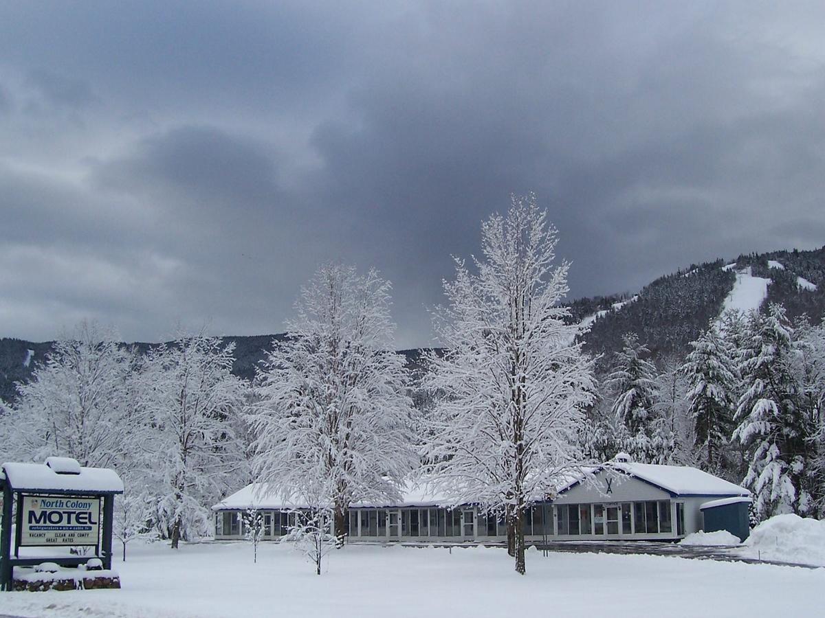 North Colony Motel And Cottages Bartlett Eksteriør bilde